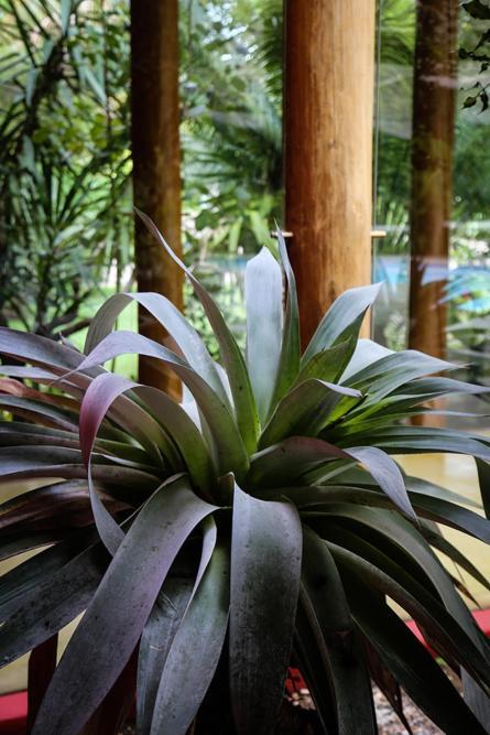 Villa Vermelha - Altos De Trancoso Ngoại thất bức ảnh